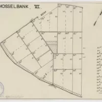 Mosselbank VI technische tekening. Zeeuws Archief, Koninklijke Maatschap De Wilhelminapolder, toegang 250, inv. nr 899.